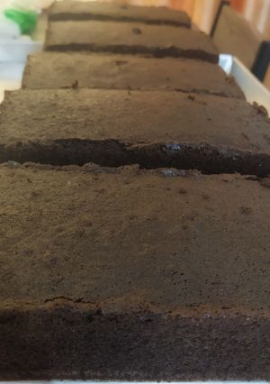 Foto resep Bolu coklat ekonomis