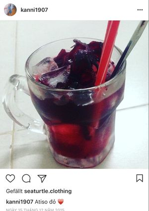 Hình của món Nước atiso đỏ chua chua ngọt ngọt.
