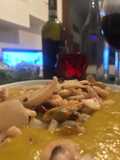 Vellutata di minestrone ai frutti di mare