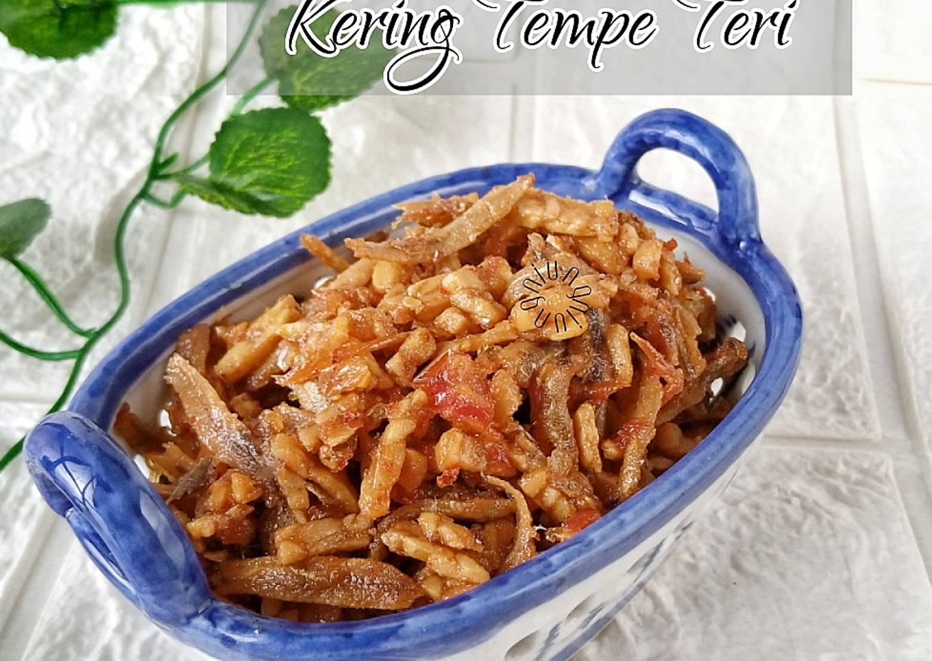Kering Tempe Teri