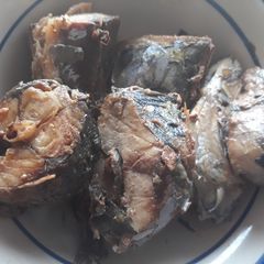 A picture of Boiled titus fish.