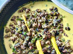 Gambar Siput Sedut Masak Lemak Cili Padi