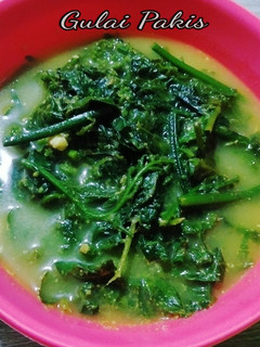 Foto resep Gulai Pakis