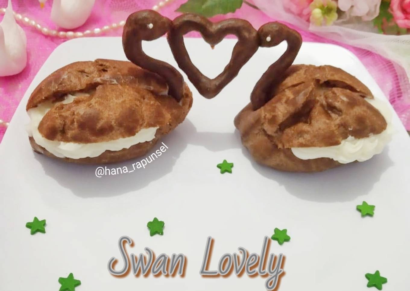 Choco swan lovely
