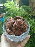 Coco chip cookies Ala Dapur Mayang