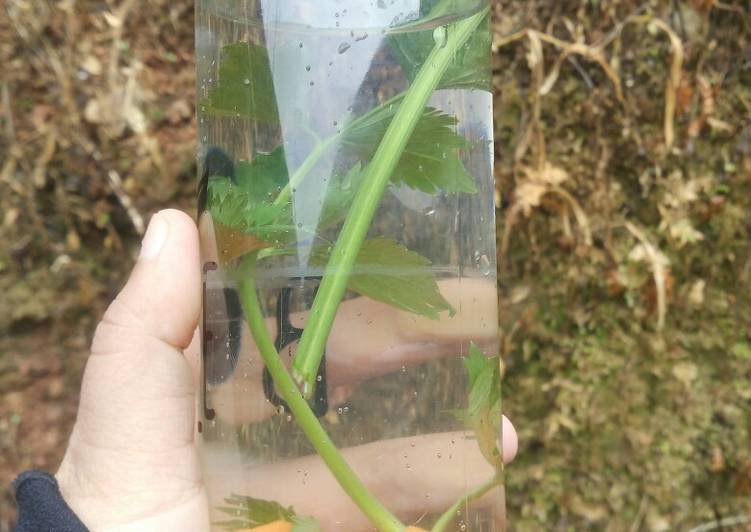 Cara termudah untuk Campuran Makan di DimeJsr Infus water Sayur 