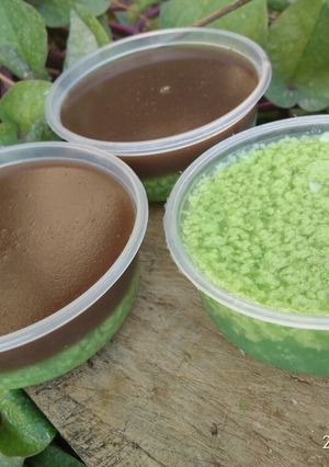 Foto resep 31. Puding lumut coklat