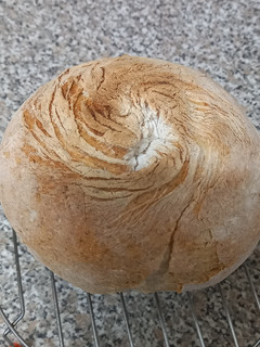 Foto principal de Pan de payés sin gluten