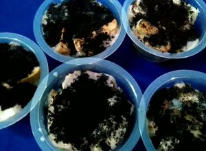Foto resep 56. Setup Roti Tawar Oreo