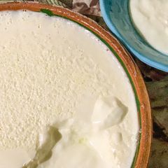 A picture of Homemade thick yogurt.