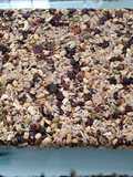 Vegan Breakfast Nut Bars