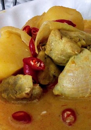 A picture of Malaysian Curry Chicken.