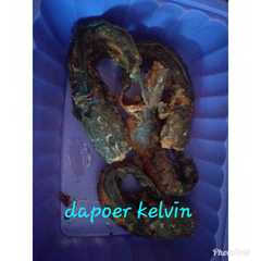 Lele goreng রেসিপির প্রধান ছবি
