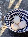 Mochis