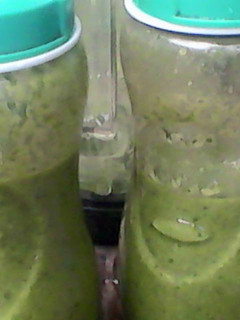Una foto de Jugo verde levanta muertos