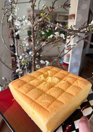 Hình của món Bánh bông lan phô mai nhật bản.
