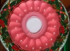 Foto resep Agar agar nutrijel