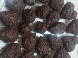 صابلي الفيريرو روشي