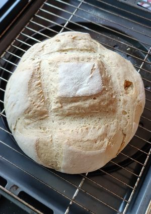 Una foto de Pan en mambo