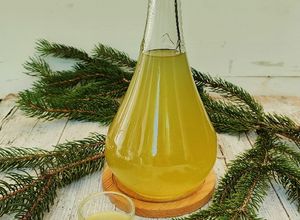 Foto di Liquore alle gemme di abete rosso