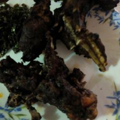 A picture of Roasted beef.