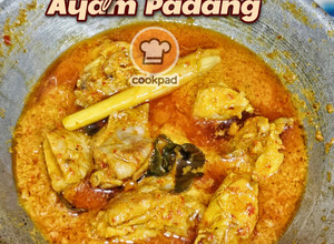 Gambar Gulai ayam padang