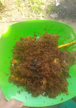 Foto resep Ayam bumbu