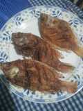 Ikan nila goreng