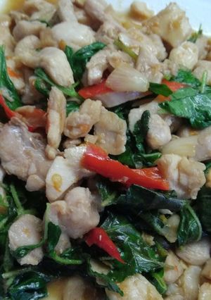 รูปของ กะเพรา​ไก่​เจี๊ยบ#อาหารไทยง่ายๆ​