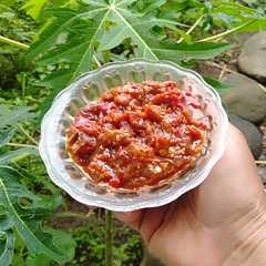 A picture of Sambal Korosok.