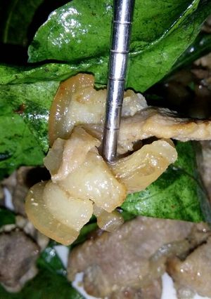 Hình của món Heo rừng rang lá mắc mật.