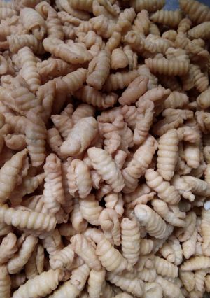 Foto resep Kue Garpu/Kue Kewuk
