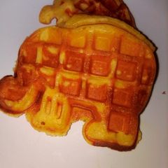 A picture of Waffles.