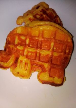 A picture of Waffles.