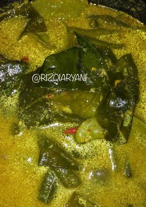 Foto resep Lodeh ledeh 😅