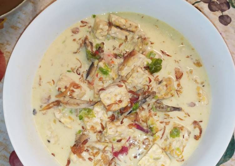 Resep Sayur santan tempe dan ikan asin Anti Gagal