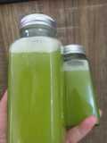 Jus Nanas 🍍 Timun 🥒(pakai slow juicer)