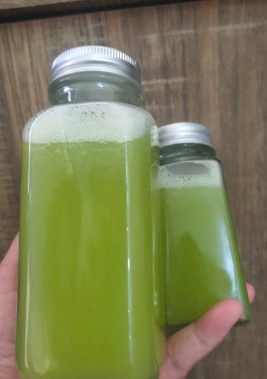 Foto resep Jus Nanas 🍍 Timun 🥒(pakai slow juicer)