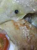 Picantones en escabeche