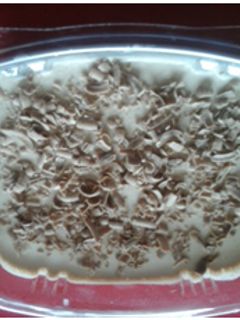 Una foto de Cheesecake de mocca y vainilla