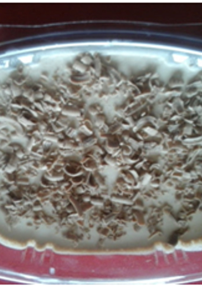 Una foto de Cheesecake de mocca y vainilla