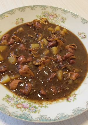عکسی از دستور خوراک سنگدان مرغ🥰