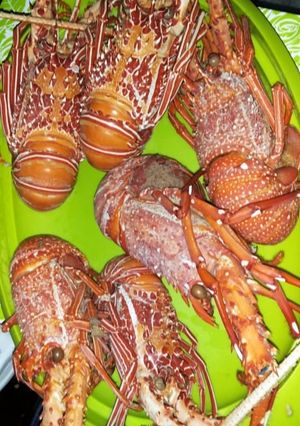 Foto resep Lobster rebus