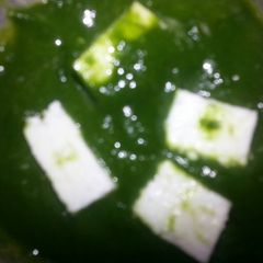 A picture of Palak paneer.