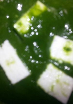 A picture of Palak paneer.