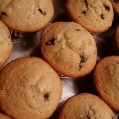 A picture of Chocolate Chip Muffins.