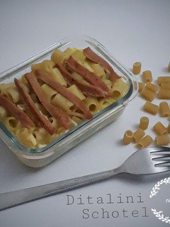 Foto resep Ditalini Schotel
