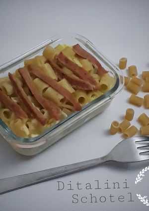 Foto resep Ditalini Schotel