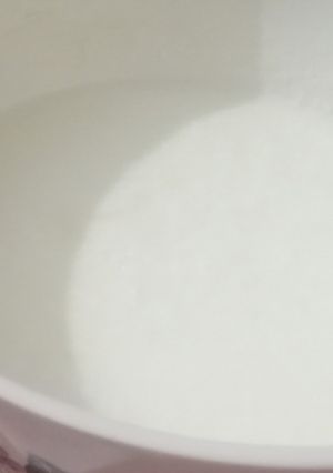A picture of Homemade Dahi:-.