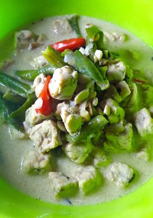 Foto resep Lodeh kacang tempe bumbu iris